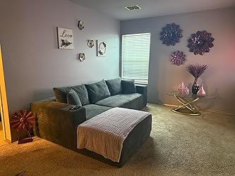 Review by Dylan H.